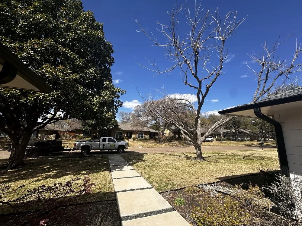 Professional landscape design experts serving Farmers Branch, TX - Javiers Professional