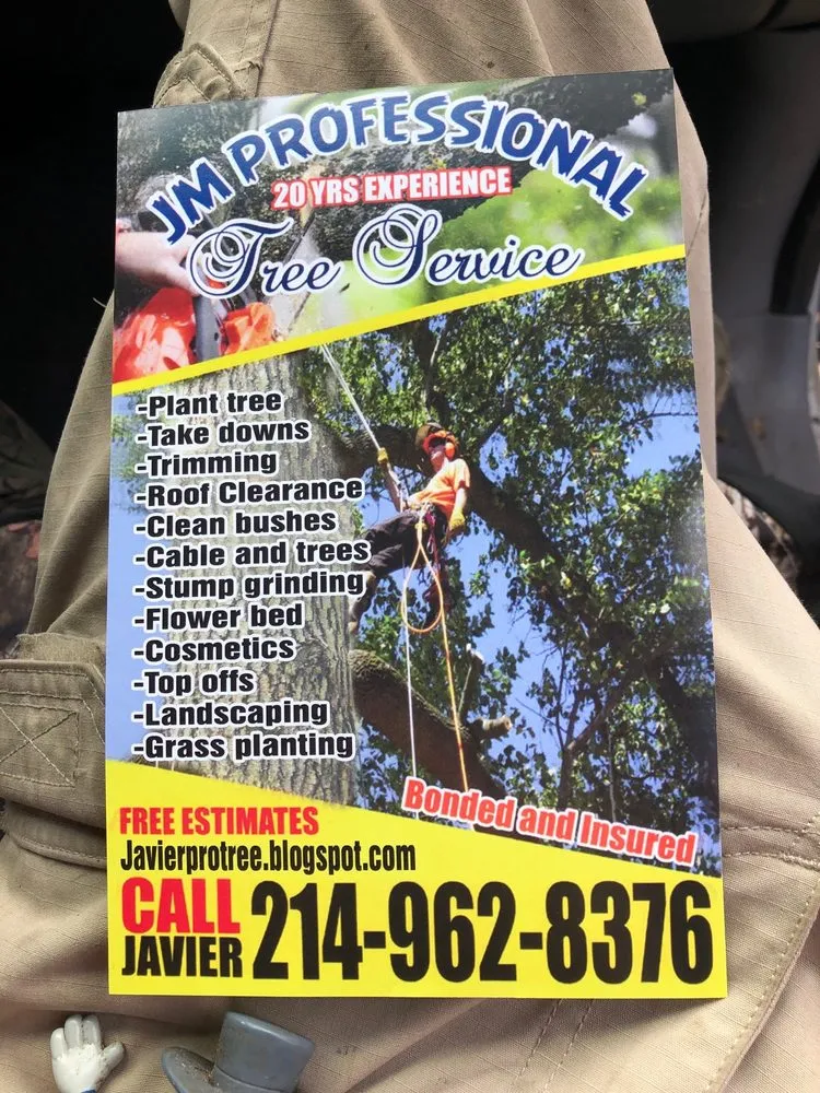 Affordable outdoor landscaping in Farmers Branch, TX by Javiers Professional