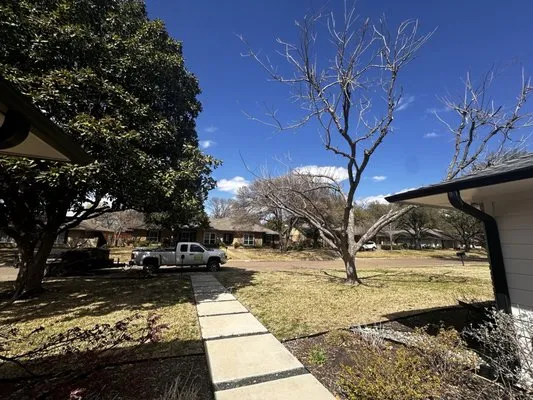 Javiers Professional