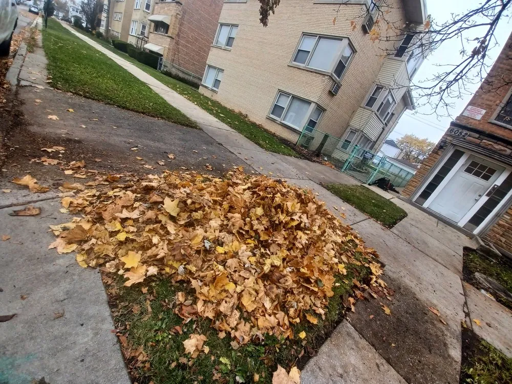 Professional garden landscaping in Chicago, IL - Javi's Landscaping