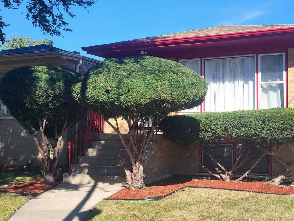 Custom residential landscaping for year-round maintenance across Chicago, IL - Javi's Landscaping