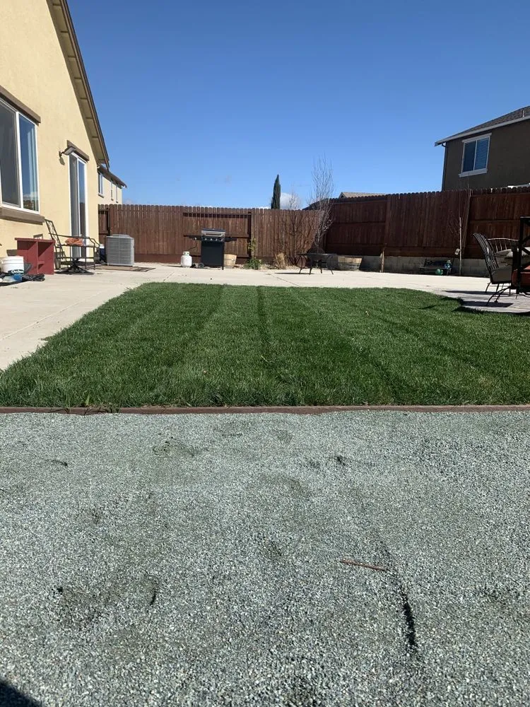 Local landscape installation in Stockton, CA - Javi’s Landscaping