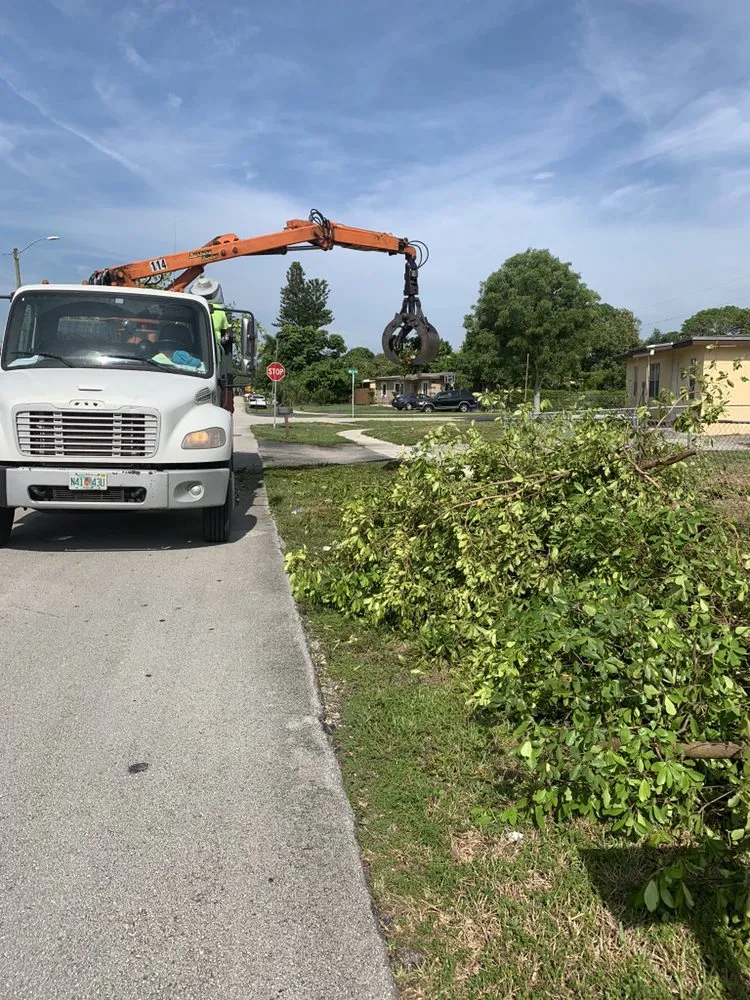 Local yard cleanup service in Pembroke Pines, FL - Javves Tree and Maintenance Services