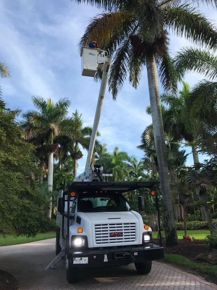 Professional landscape design in Pembroke Pines, FL by Javves Tree and Maintenance Services