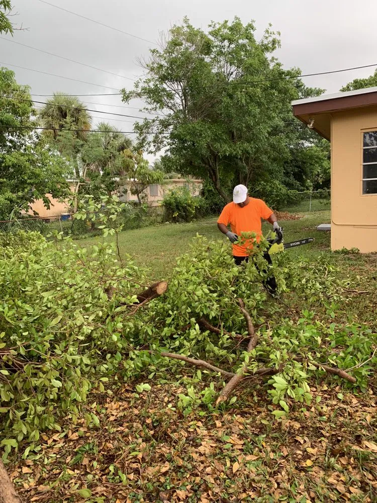 Custom landscaping services for residential properties across Pembroke Pines, FL - Javves Tree and Maintenance Services
