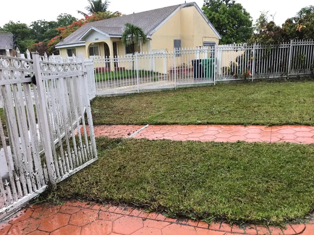 Expert landscape design for year-round maintenance in Pembroke Pines, FL by Javves Tree and Maintenance Services