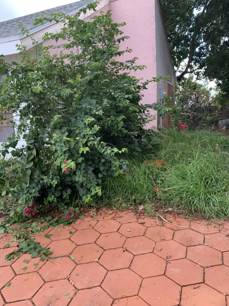 Trusted garden landscaping in Pembroke Pines, FL by Javves Tree and Maintenance Services