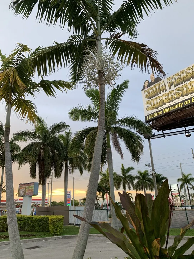 Custom landscape design in Pembroke Pines, FL - Javves Tree and Maintenance Services