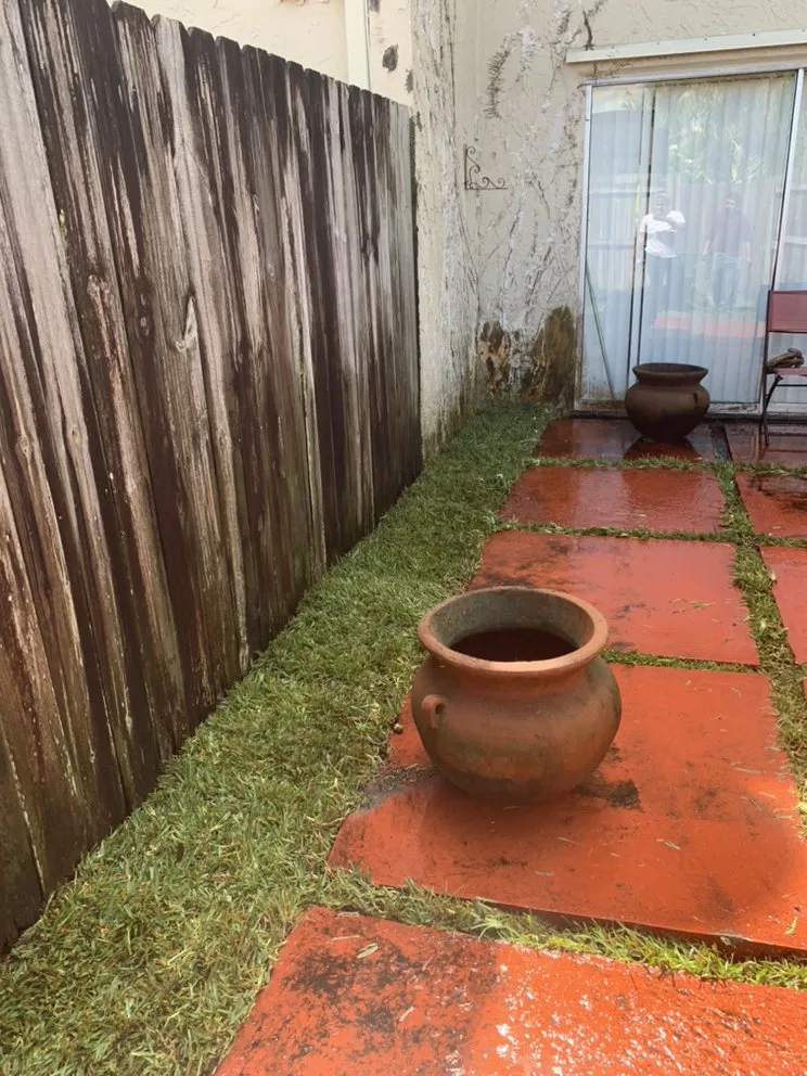 Affordable landscape design in Pembroke Pines, FL - Javves Tree and Maintenance Services