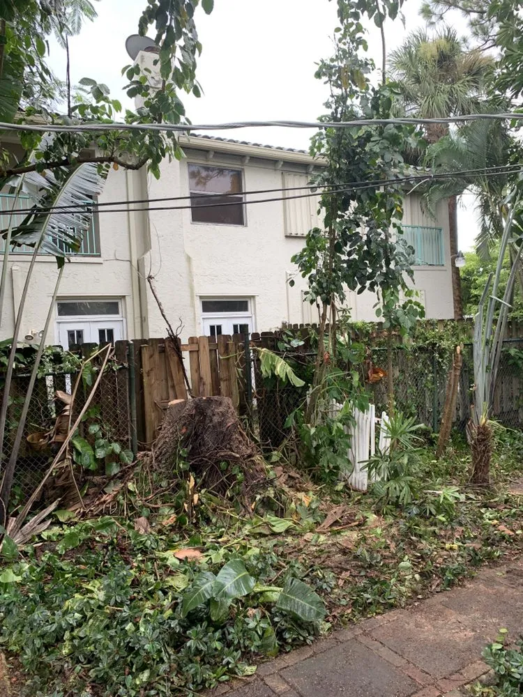 Expert outdoor landscaping experts serving Pembroke Pines, FL - Javves Tree and Maintenance Services