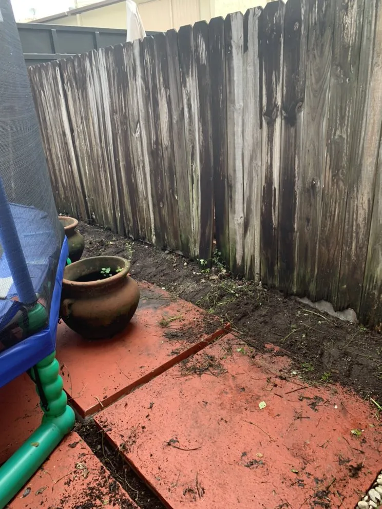 Affordable landscape design in Pembroke Pines, FL - Javves Tree and Maintenance Services