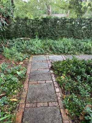 Javves Tree and Maintenance Services Logo