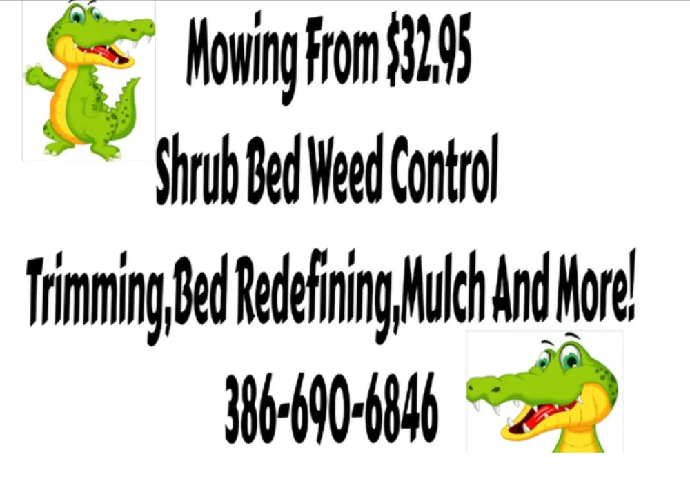 Custom landscape installation experts serving Port Orange, FL - Jaw Dropping Landscapes