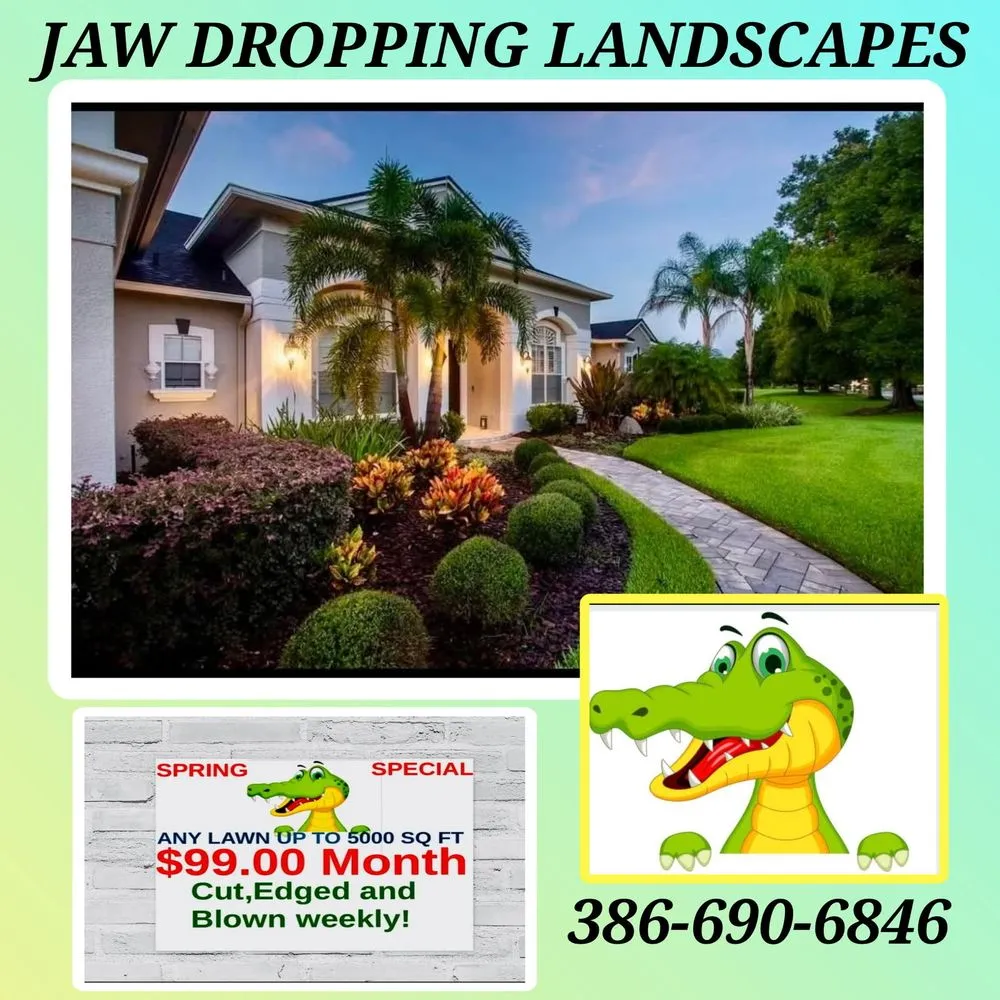 Professional yard maintenance experts serving Port Orange, FL - Jaw Dropping Landscapes