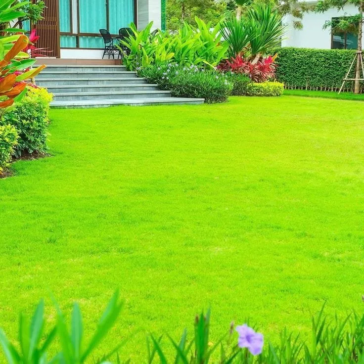 Top-rated lawn mowing service in Alexandria, VA by Jawad Service