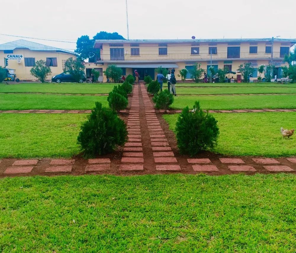 Affordable lawn mowing service for beautiful yards in Alexandria, VA by Jawad Service