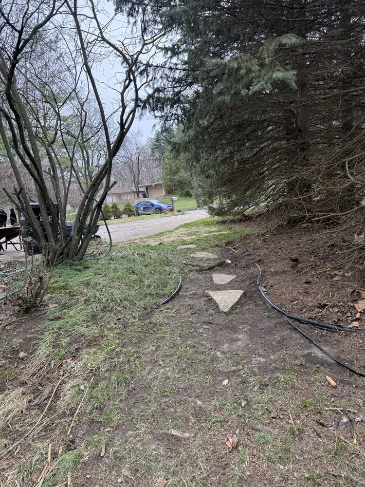 Affordable lawn care service experts serving Ypsilanti, MI - Jaws Lawn And Snow