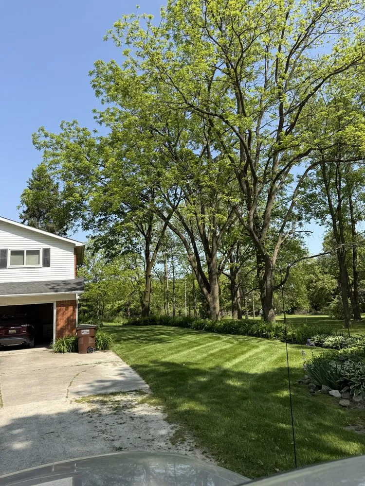 Trusted yard maintenance experts serving Ypsilanti, MI - Jaws Lawn And Snow