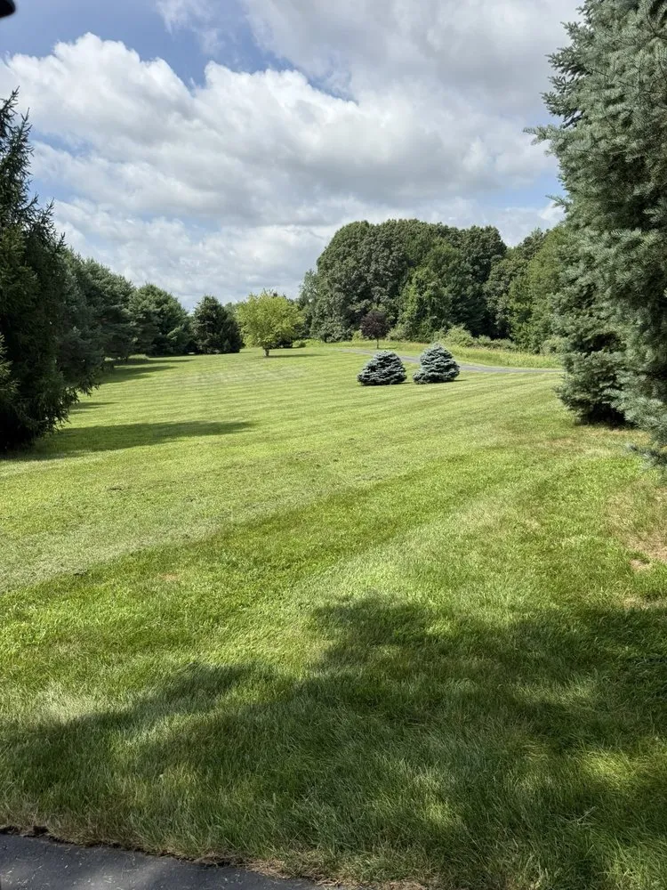 Reliable landscape installation near you across Ypsilanti, MI - Jaws Lawn And Snow