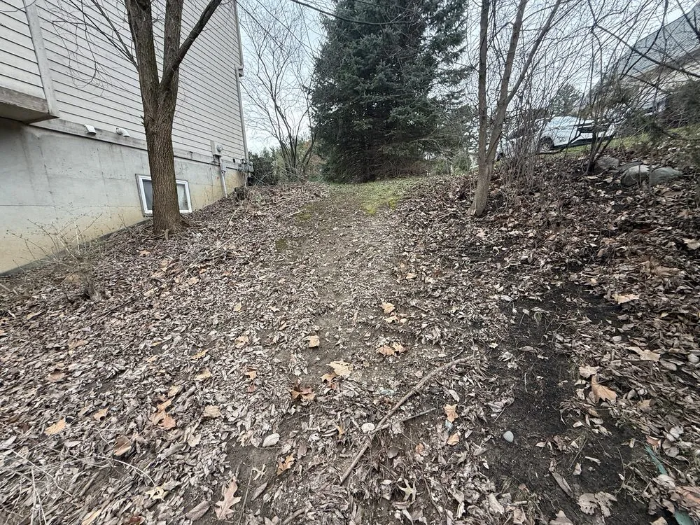 Reliable yard cleanup service experts serving Ypsilanti, MI - Jaws Lawn And Snow