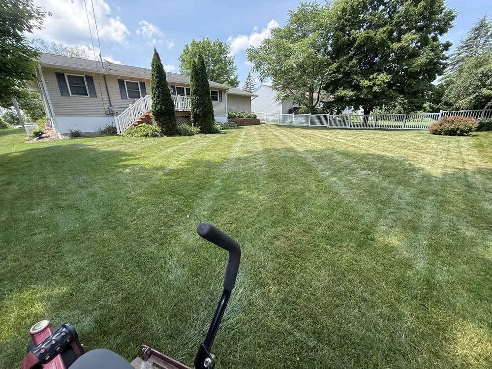 Expert yard cleanup service in Ypsilanti, MI - Jaws Lawn And Snow