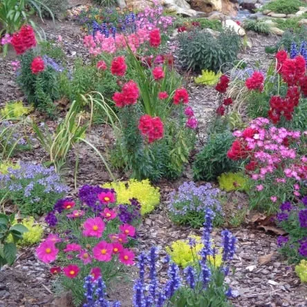 Reliable garden landscaping in Jacksonville Beach, FL - Jax Beach Lawns