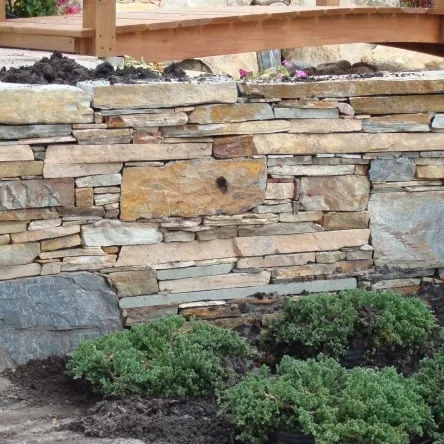 Affordable yard maintenance in Jacksonville Beach, FL - Jax Beach Lawns