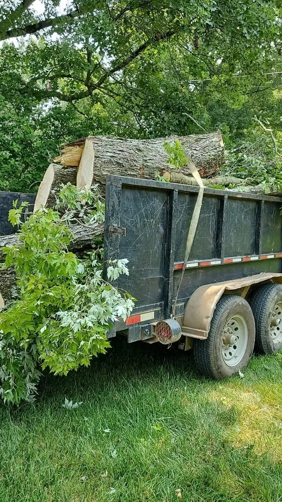 Custom landscape design in Ringgold, GA by Jax Bobcat Works And Tree Removal