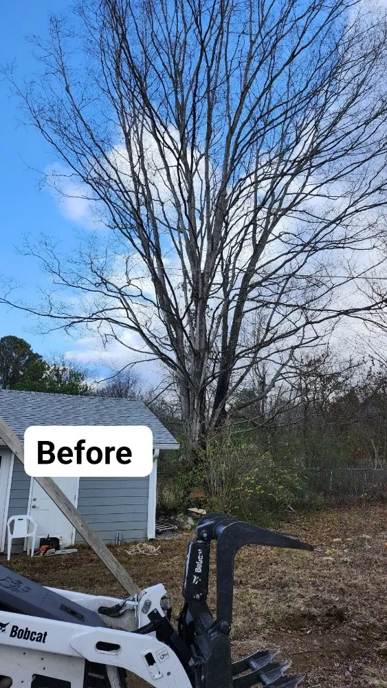 Local landscape installation experts serving Ringgold, GA - Jax Bobcat Works And Tree Removal