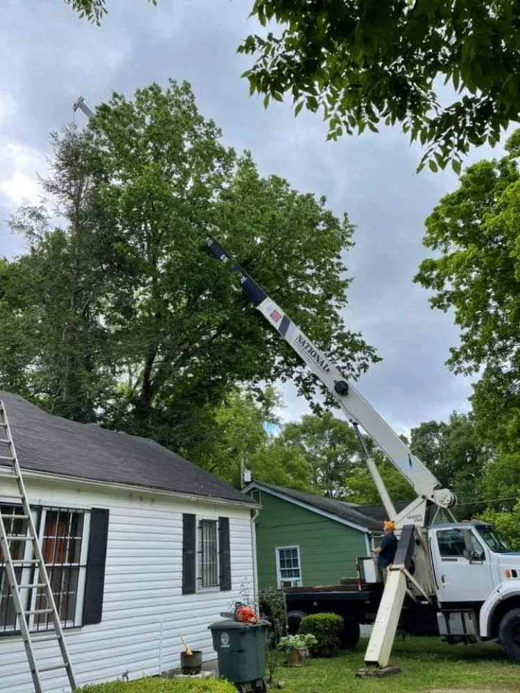 Affordable outdoor landscaping in Ringgold, GA by Jax Bobcat Works And Tree Removal