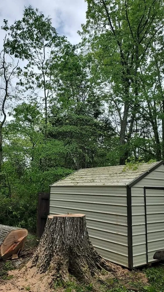 Trusted lawn care service in Ringgold, GA by Jax Bobcat Works And Tree Removal