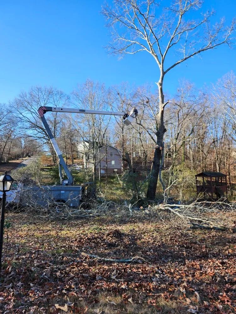 Custom yard maintenance for outdoor upgrades across Ringgold, GA - Jax Bobcat Works And Tree Removal