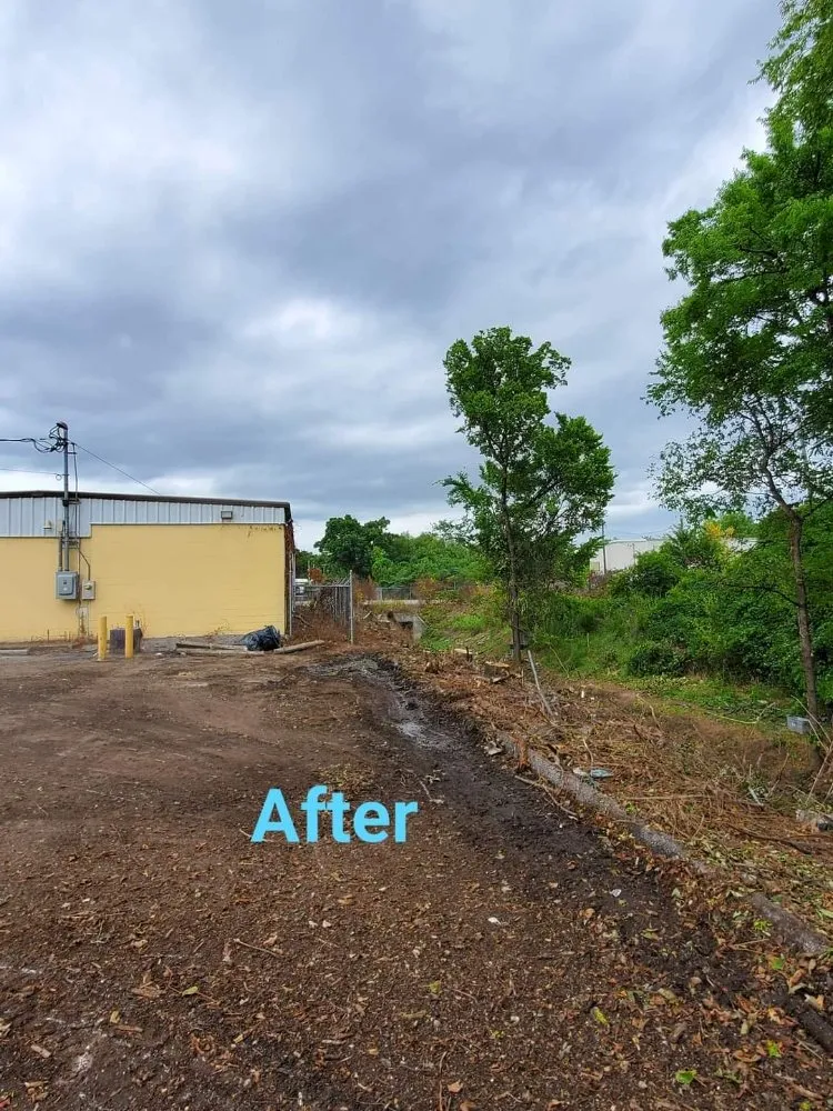 Top-rated garden landscaping for beautiful yards in Ringgold, GA by Jax Bobcat Works And Tree Removal