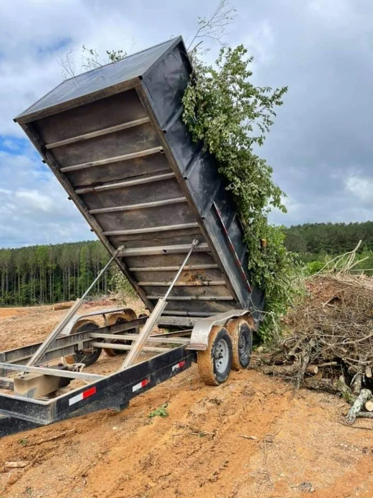 Reliable yard cleanup service experts serving Ringgold, GA - Jax Bobcat Works And Tree Removal