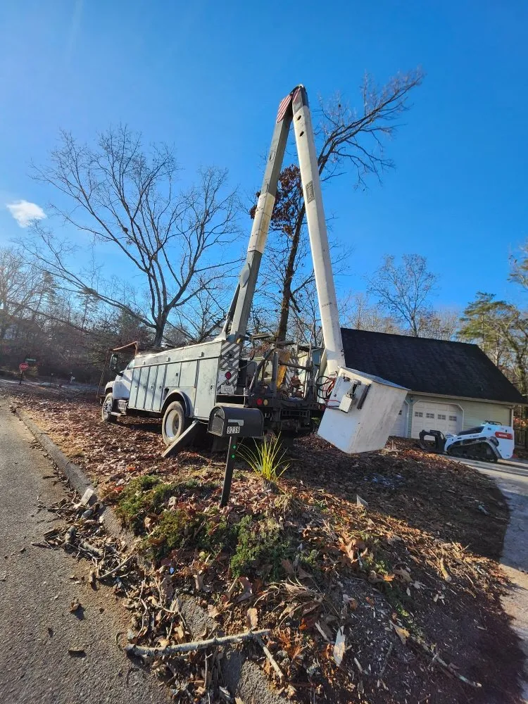 Reliable outdoor landscaping experts serving Ringgold, GA - Jax Bobcat Works And Tree Removal