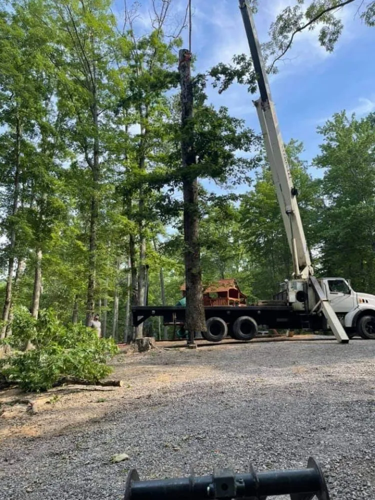 Reliable landscape design with custom design in Ringgold, GA by Jax Bobcat Works And Tree Removal