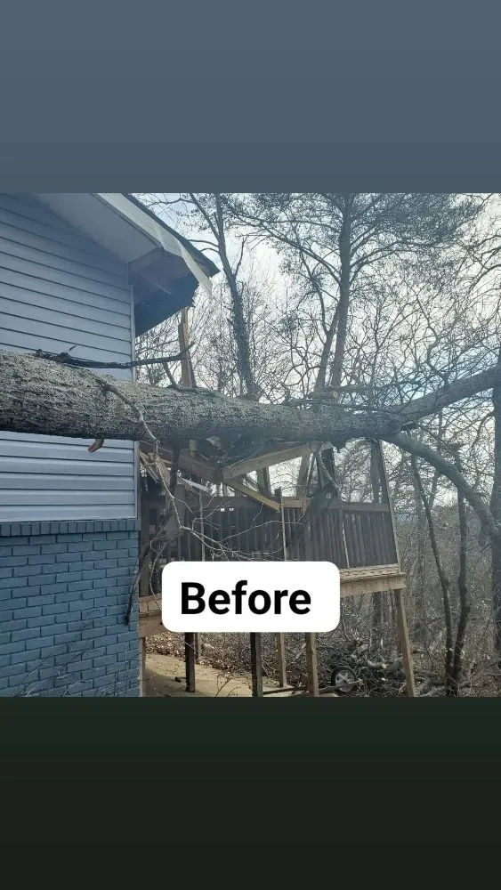 Expert lawn mowing service near you in Ringgold, GA by Jax Bobcat Works And Tree Removal