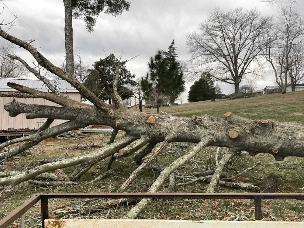 Local landscape installation in Ringgold, GA - Jax Bobcat Works And Tree Removal