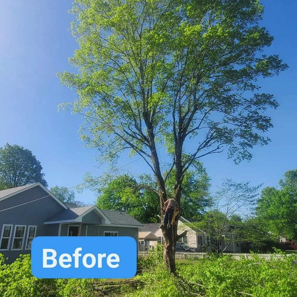 Affordable landscape installation in Ringgold, GA by Jax Bobcat Works And Tree Removal