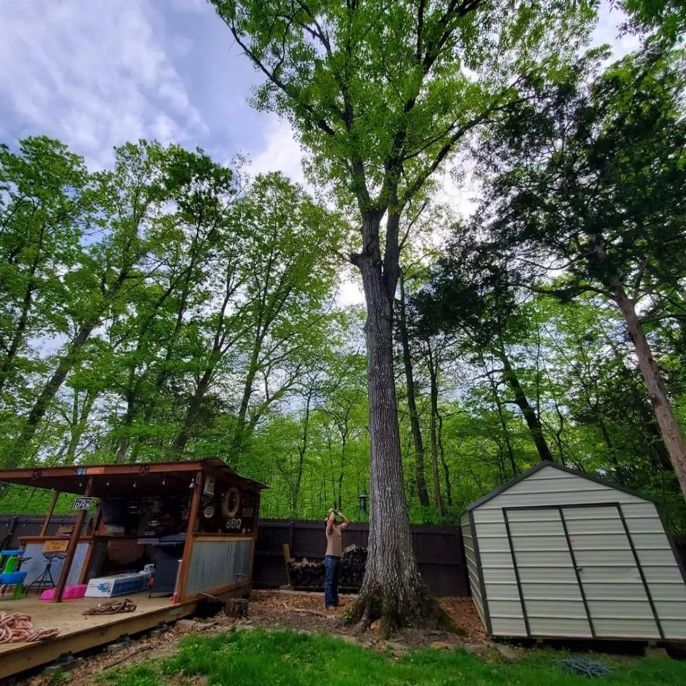 Top-rated garden landscaping in Ringgold, GA - Jax Bobcat Works And Tree Removal