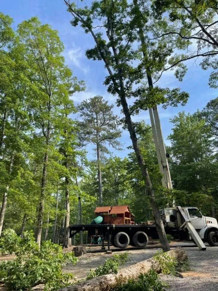Trusted landscaping services for homes in Ringgold, GA by Jax Bobcat Works And Tree Removal