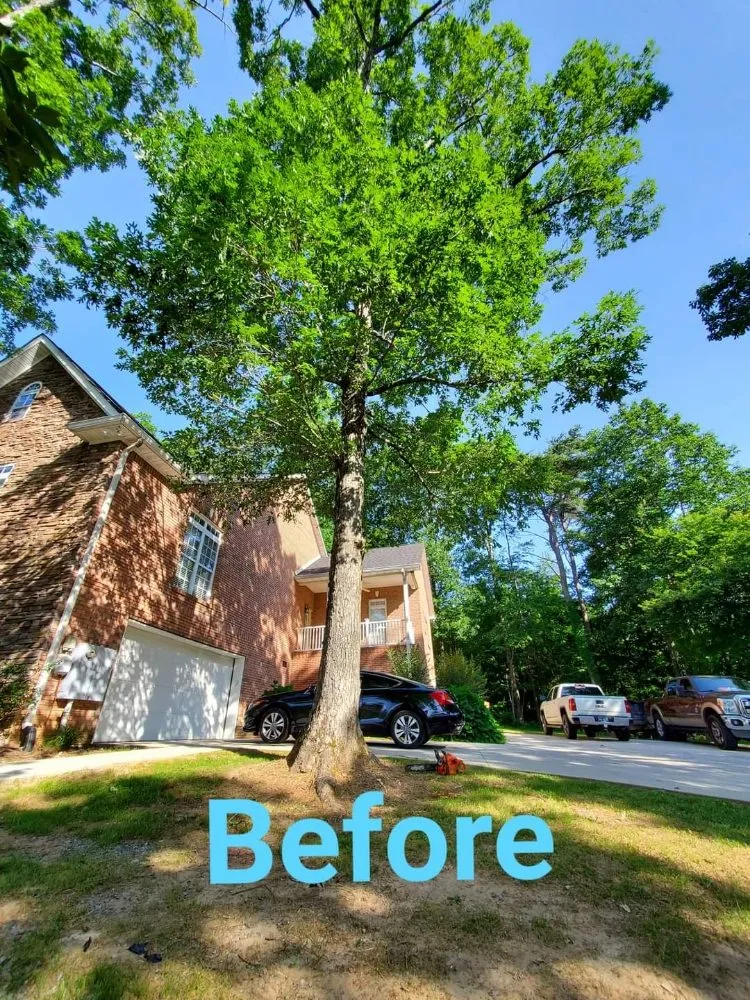 Trusted residential landscaping for homes across Ringgold, GA - Jax Bobcat Works And Tree Removal