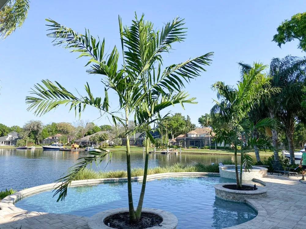 Trusted lawn mowing service in Jacksonville, FL - Jax Palm Trees