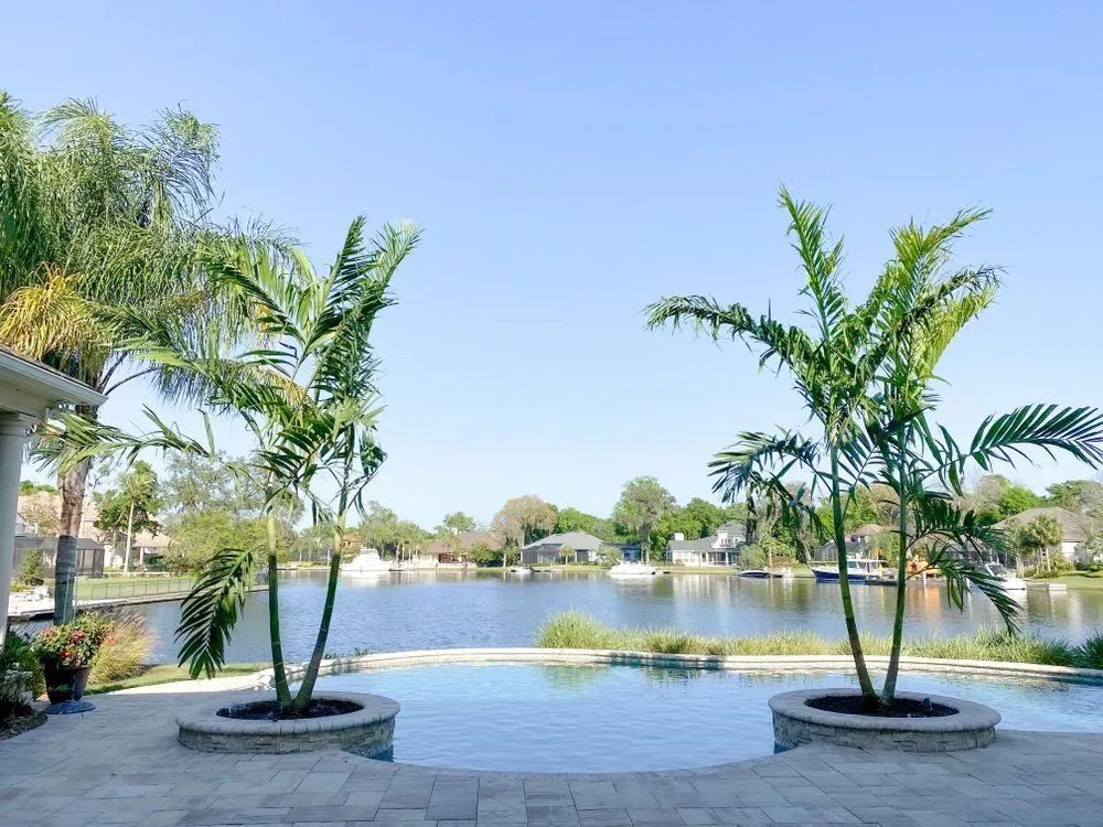 Expert residential landscaping in Jacksonville, FL by Jax Palm Trees