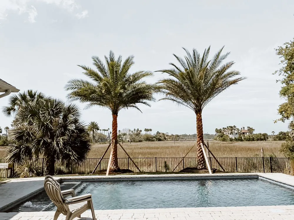 Local outdoor landscaping in Jacksonville, FL by Jax Palm Trees