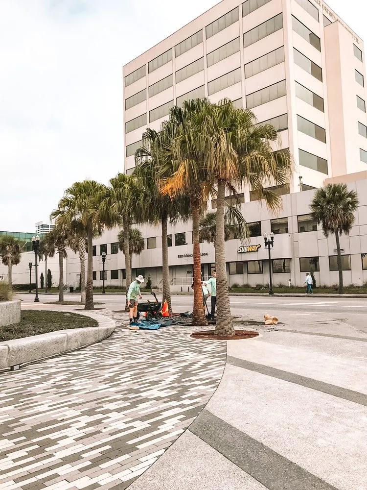 Affordable outdoor landscaping experts serving Jacksonville, FL - Jax Palm Trees