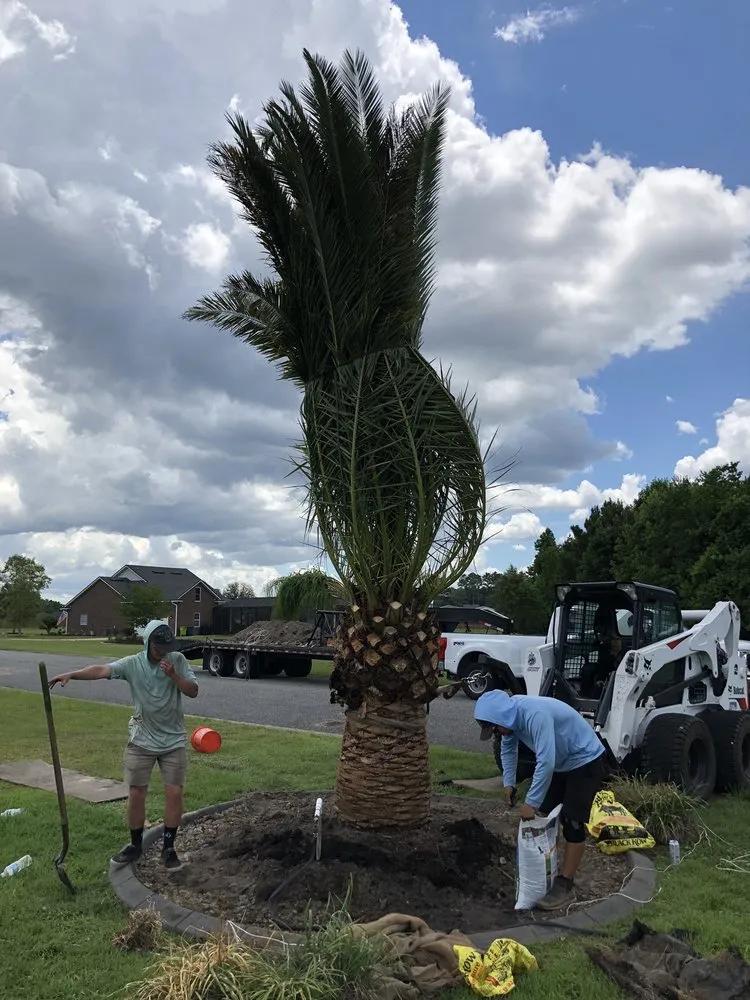 Reliable garden landscaping with custom design in Jacksonville, FL by Jax Palm Trees