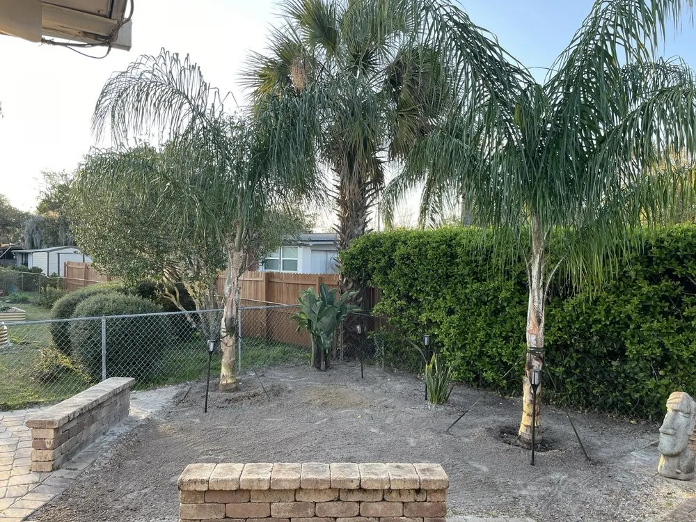 Top-rated yard maintenance for beautiful yards across Jacksonville, FL - Jax Palm Trees