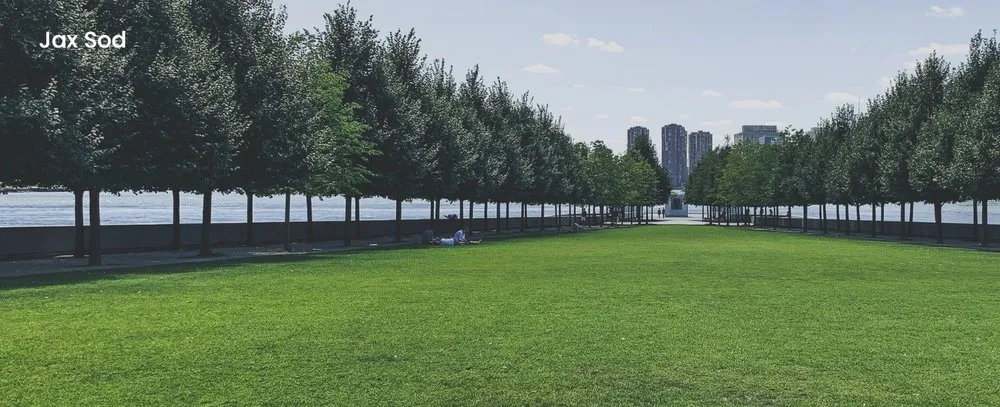 Top-rated landscape installation in Jacksonville, FL by Jax Sod