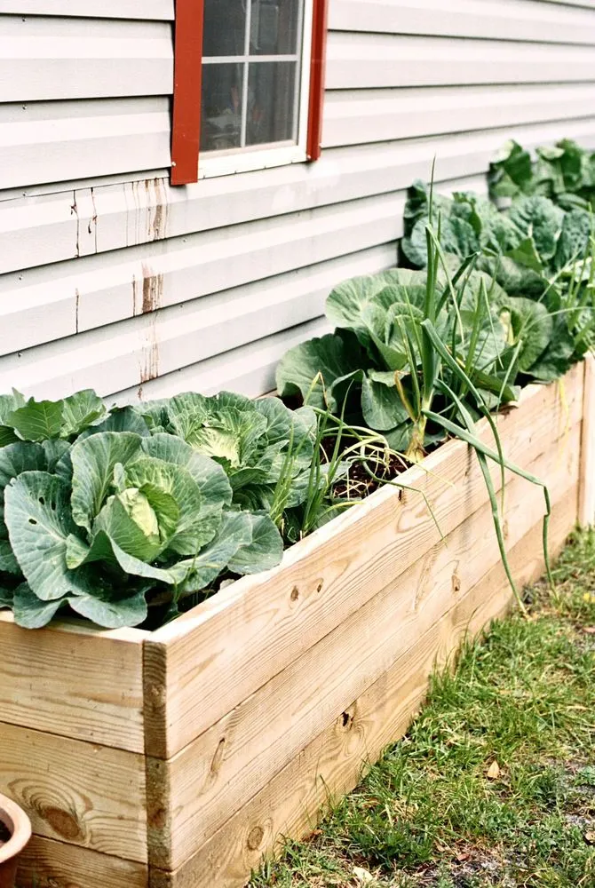 Professional landscape installation in Atlantic Beach, FL by Jax Woodcrafters